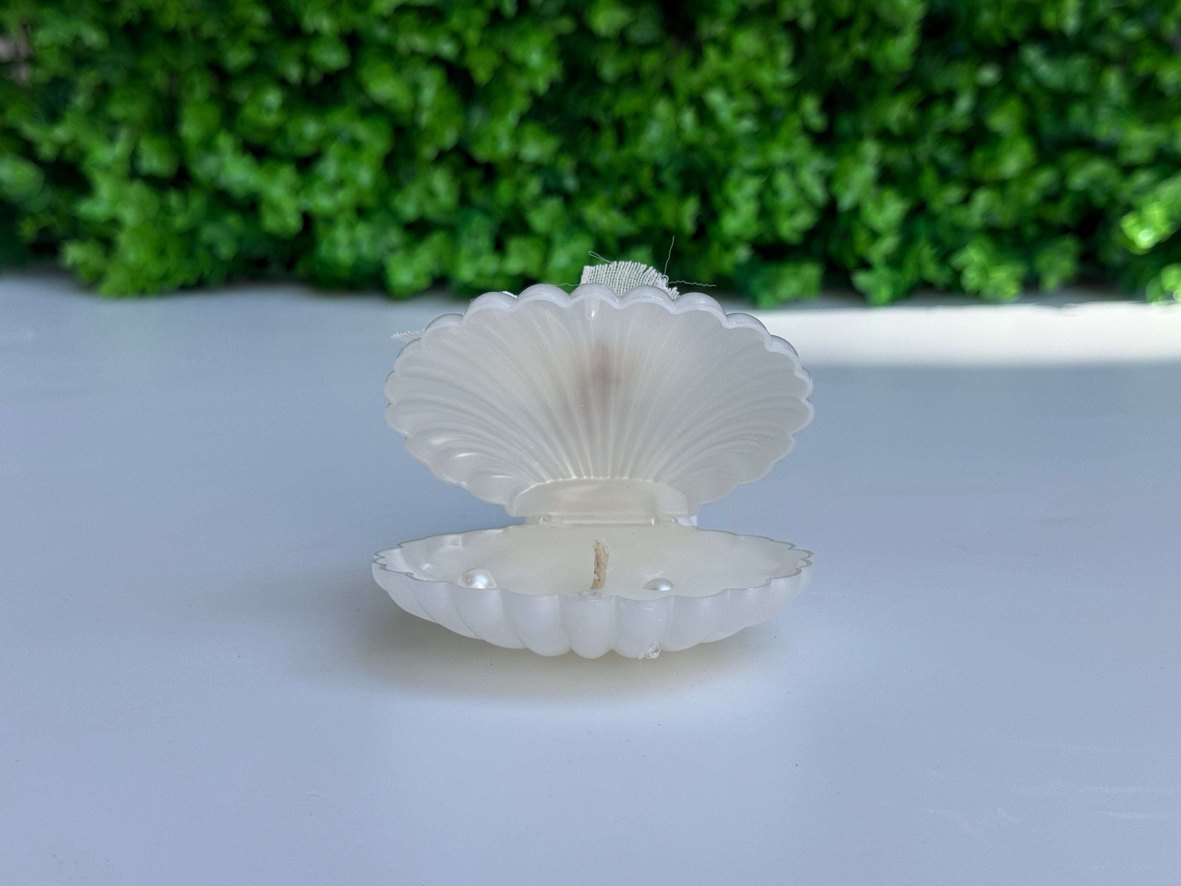 İnci Detaylı Deniz Kabuğu Mumluk