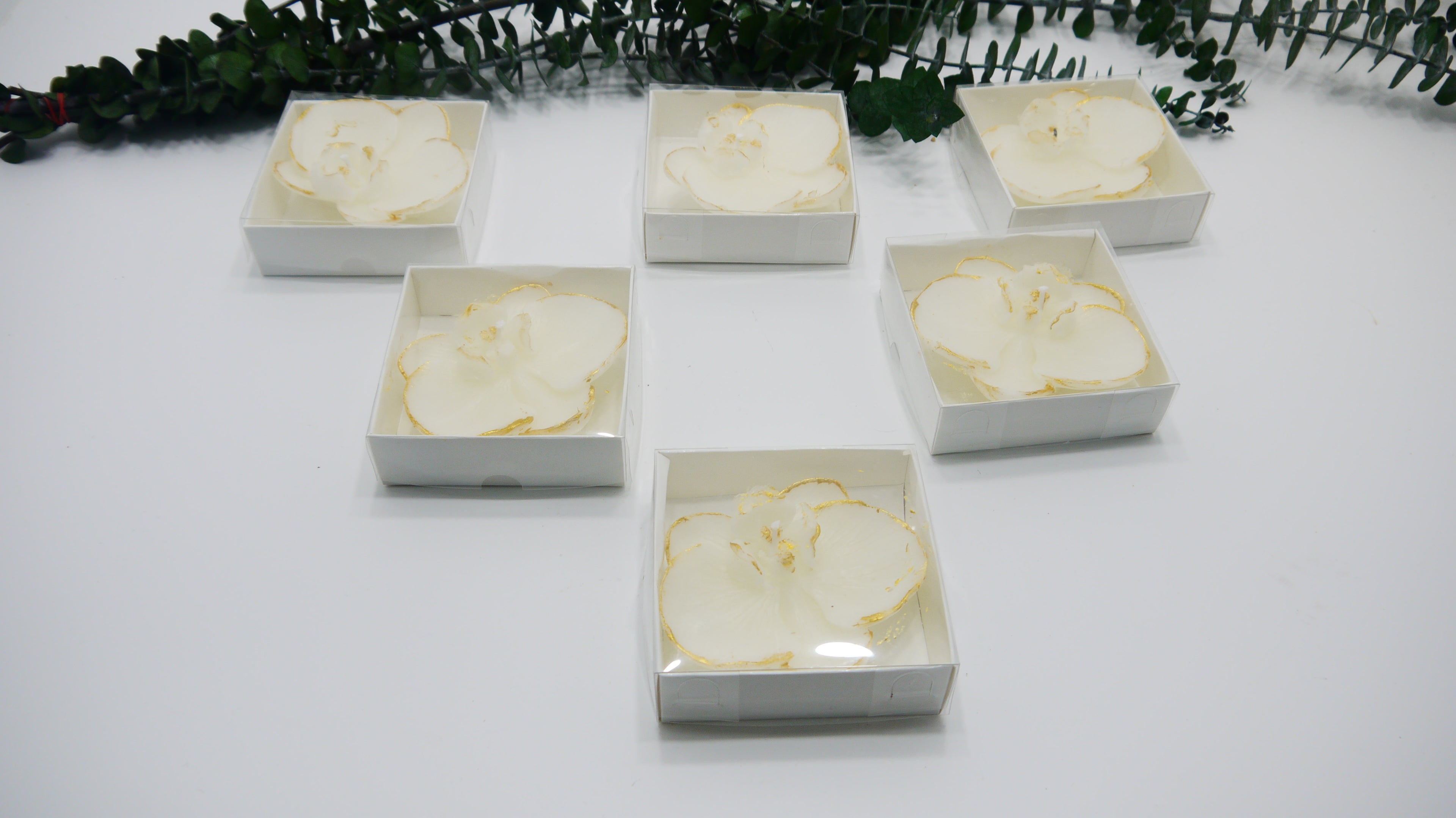 Asetat Kutulu Orkide Dekoratif Mum